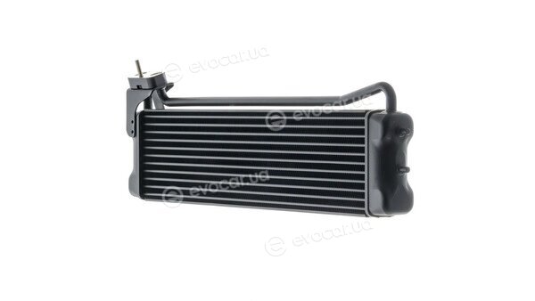 Mahle CLC 110 000P
