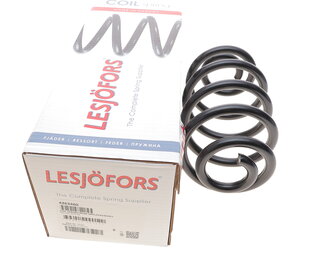 Lesjofors 4263460