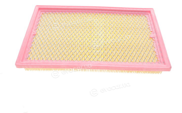 Solgy 103120
