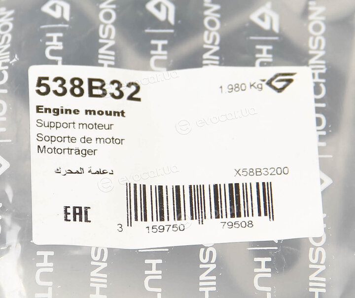 Hutchinson 538B32