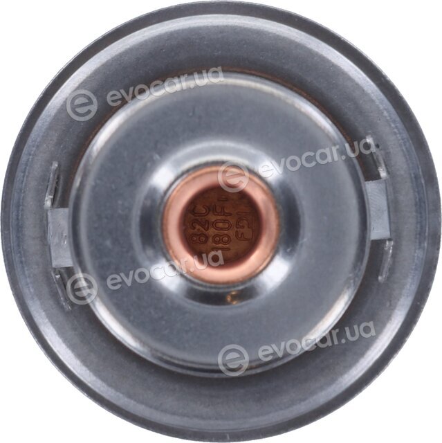 Motorad 412-82K