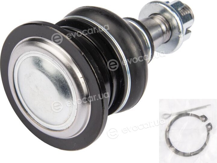 Raiso RL433901T