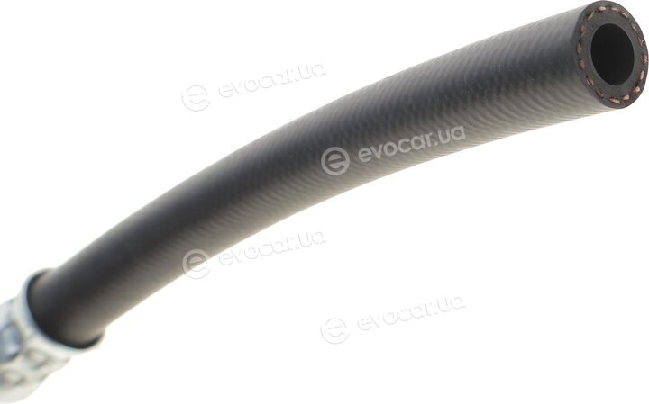 AIC 54955