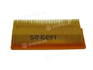 Coopers Fiaam PA7161