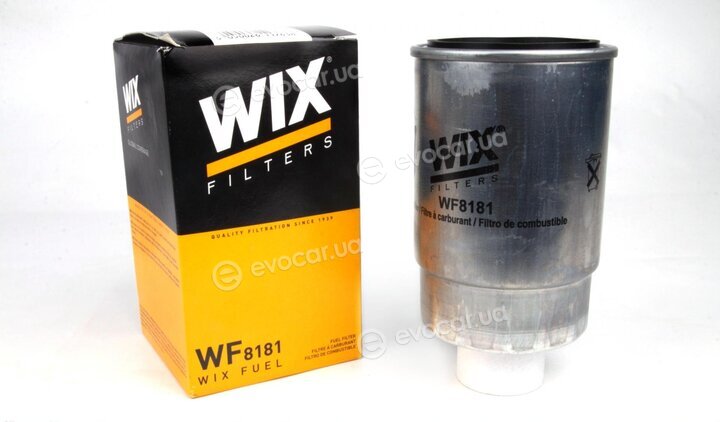 WIX WF8181