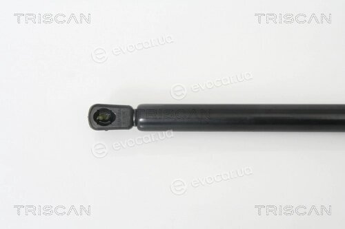Triscan 8710 67209