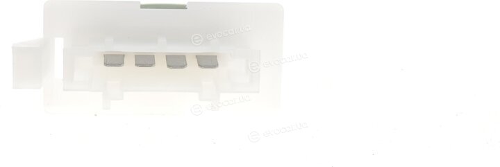 Vika 89590794801