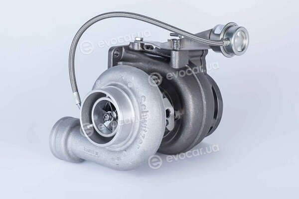 BorgWarner 318815