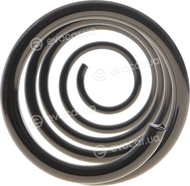 Solgy 212156