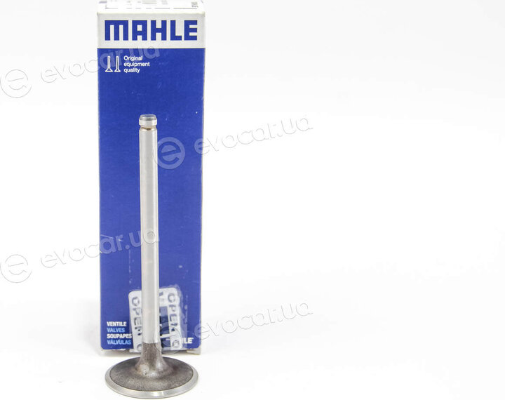 Mahle 021 VE 30386 000