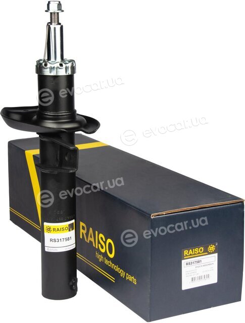 Raiso RS317581