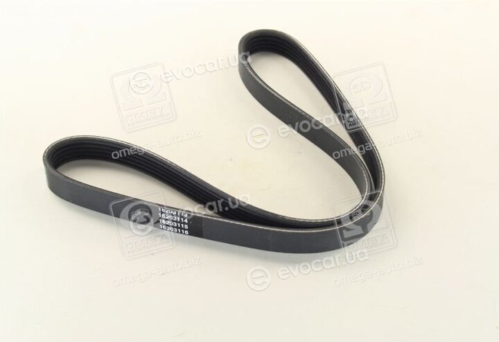 Dayco 5PK921