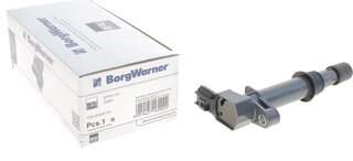 Beru ZS605