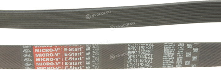 Gates 8PK1162EST