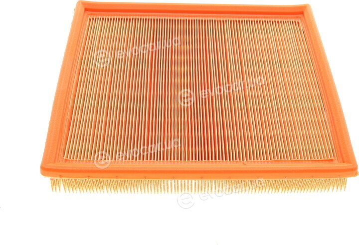 Mann C 2598