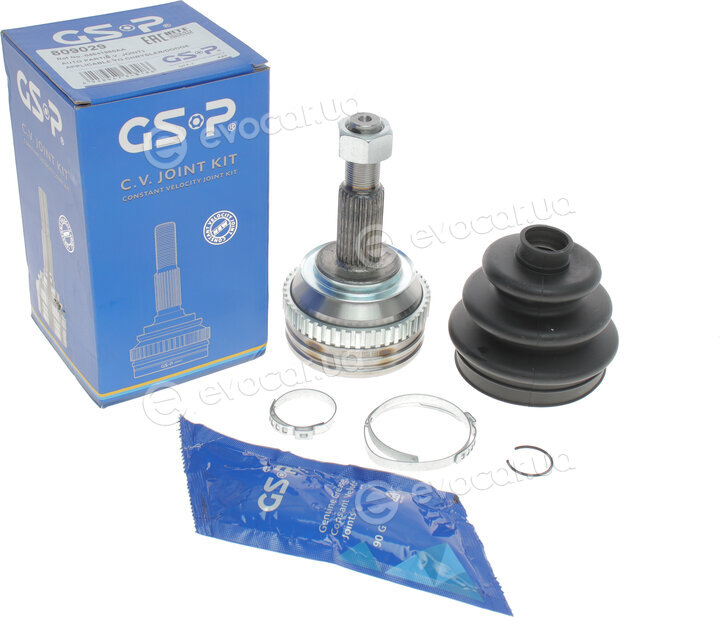 GSP 809029