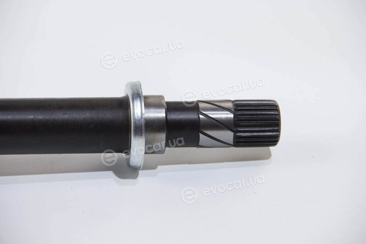 Asam 32021