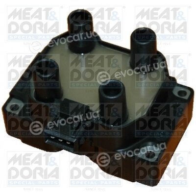 Meat & Doria 10349