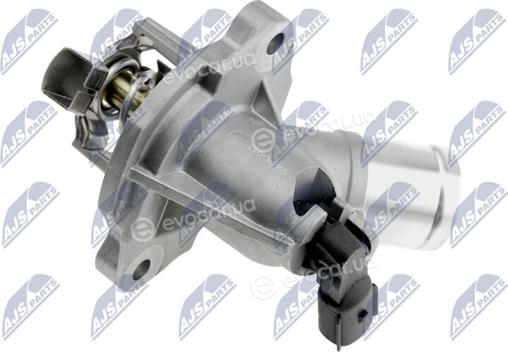 NTY CTM-PL-013