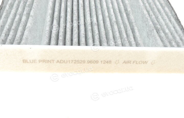 Blue Print ADU172529