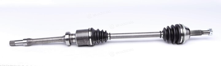 GSP 299194