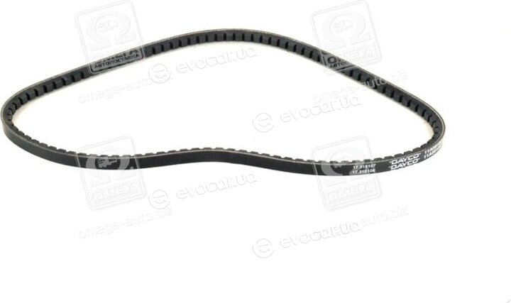 Dayco 11A0910C