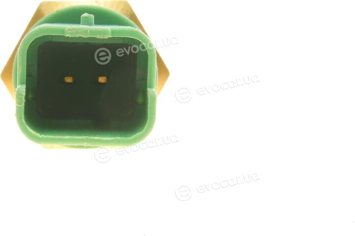 AIC 57244