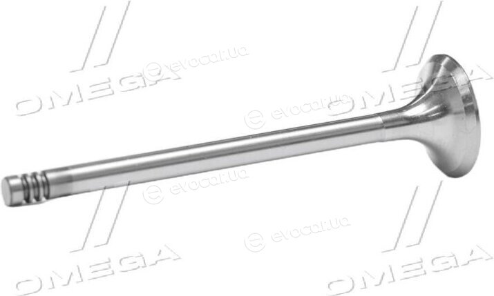 Gunes 4024