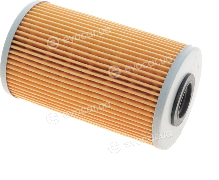 Solgy 102002