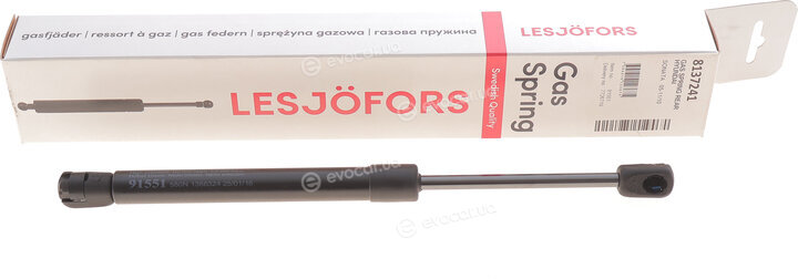 Lesjofors 8137241