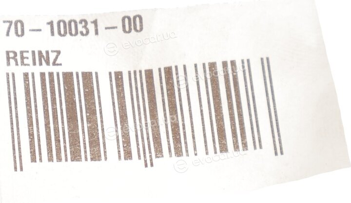 Victor Reinz 70-10031-00