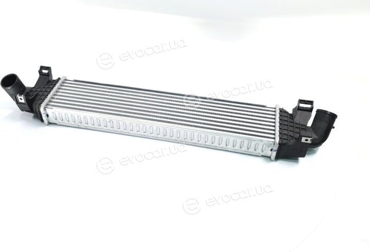 AVA FDA4438