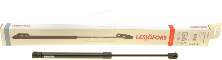 Lesjofors 8008418