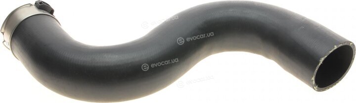 Bogap C1711166