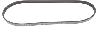 Dayco 4PK800
