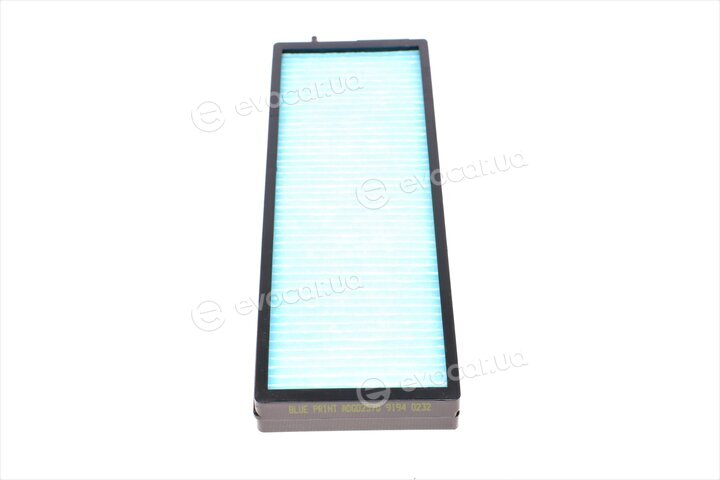 Blue Print ADG02570
