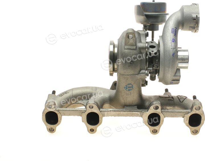 BorgWarner 54399880020