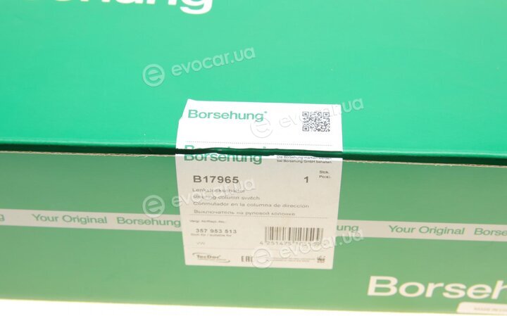 Borsehung B17965