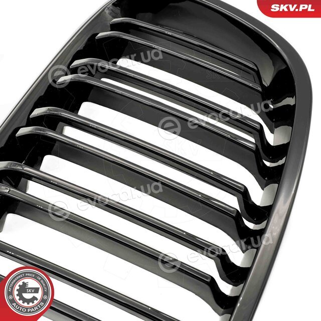 SKV 66SKV016