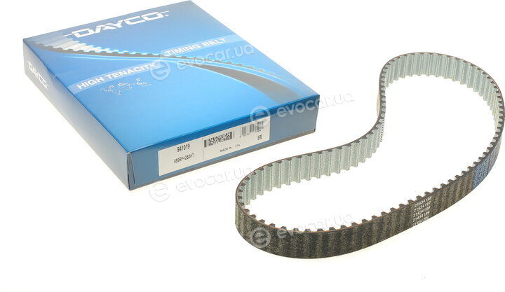 Dayco 941019