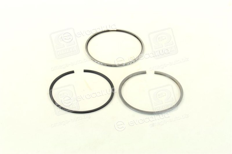 Mahle 010 04 N0