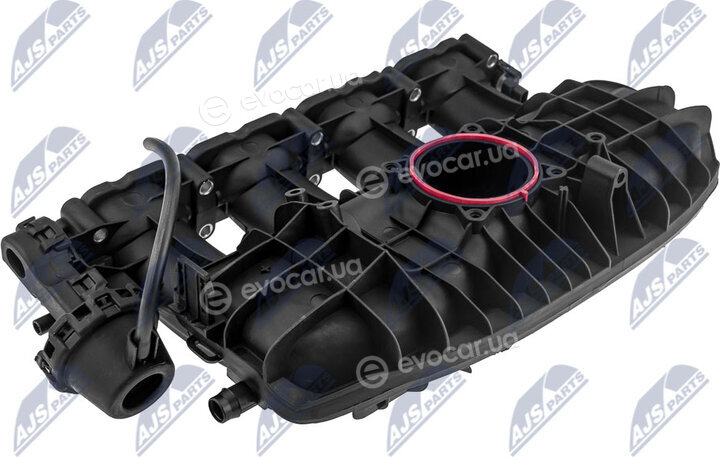 NTY BKS-VW-029