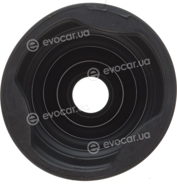 Magneti Marelli 302009100048