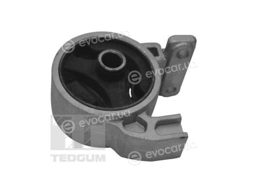 Tedgum TED94977