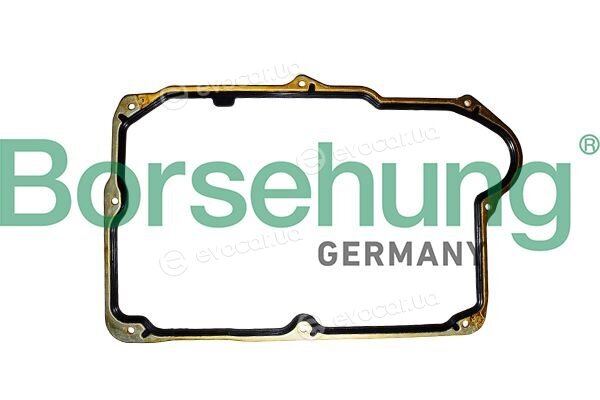 Borsehung B13266
