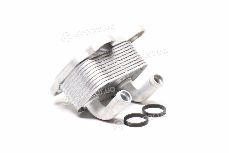 Van Wezel 37003581