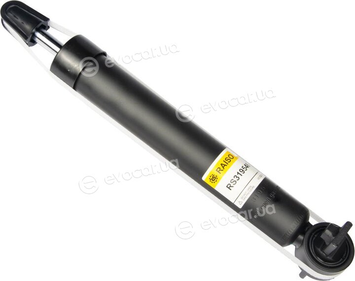 Raiso RS319546