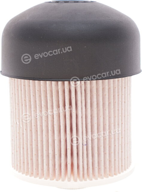 Solgy 102052