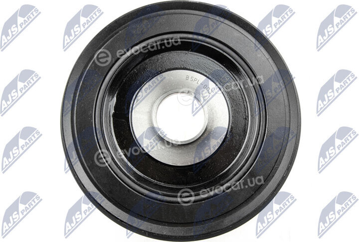 NTY RKP-PL-003