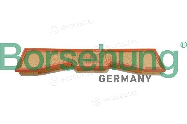 Borsehung B13072
